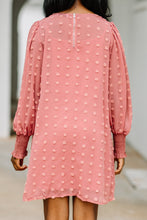 Load image into Gallery viewer, You're Mine Brick Red Swiss Dot Dress