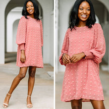 Load image into Gallery viewer, You're Mine Brick Red Swiss Dot Dress