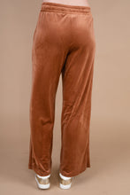 Load image into Gallery viewer, Cozy Confessions Brick Orange Velvet Pants