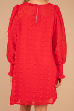 Load image into Gallery viewer, You're Mine Red Swiss Dot Dress